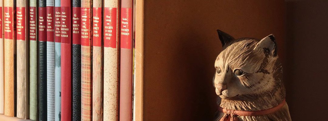 Apakah Anda yang Tinggal di Pasar Minggu Mencari Les Privat untuk Putra?